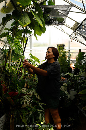 preview_Hanging Garden 20230518_1429