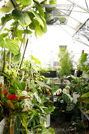 preview_Hanging Garden 20230518_1425