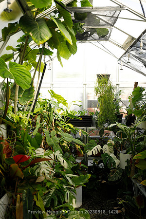 preview_Hanging Garden 20230518_1426