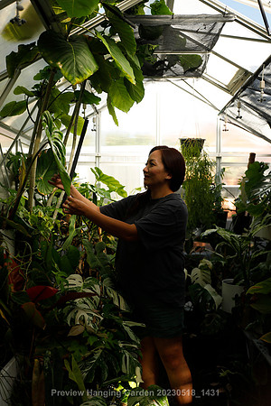 preview_Hanging Garden 20230518_1431