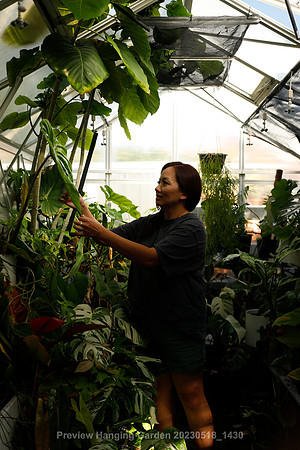 preview_Hanging Garden 20230518_1430