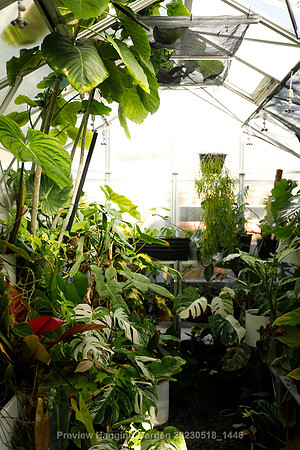 preview_Hanging Garden 20230518_1446