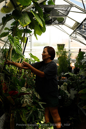 preview_Hanging Garden 20230518_1432