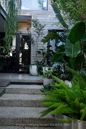 preview_Hanging Garden 20230518_1469