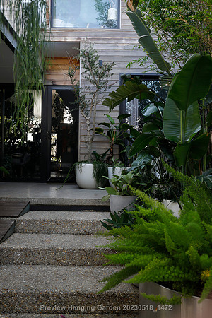 preview_Hanging Garden 20230518_1472