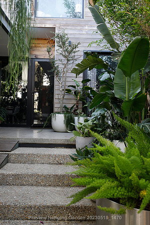 preview_Hanging Garden 20230518_1470