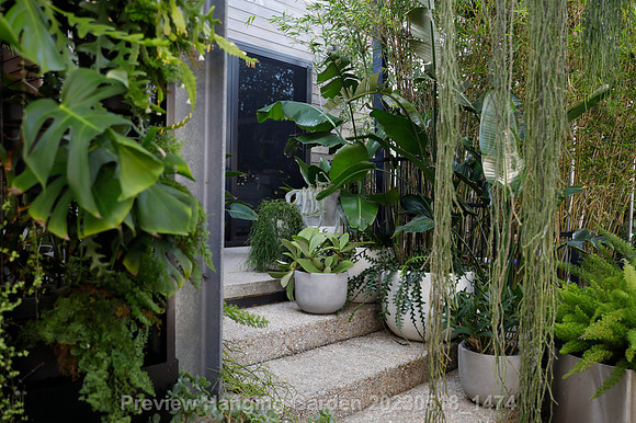 preview_Hanging Garden 20230518_1474