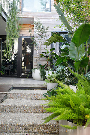 preview_Hanging Garden 20230518_1471