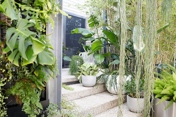 preview_Hanging Garden 20230518_1476