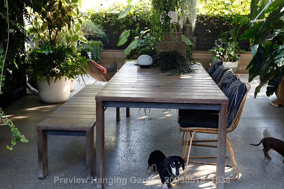 preview_Hanging Garden 20230518_1538