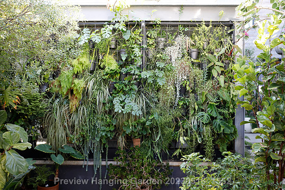 preview_Hanging Garden 20230518_1552