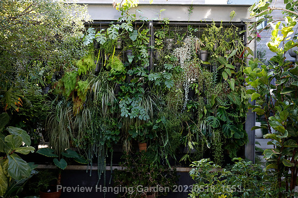 preview_Hanging Garden 20230518_1553