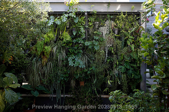 preview_Hanging Garden 20230518_1555