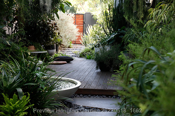 preview_Hanging Garden 20230518_1662