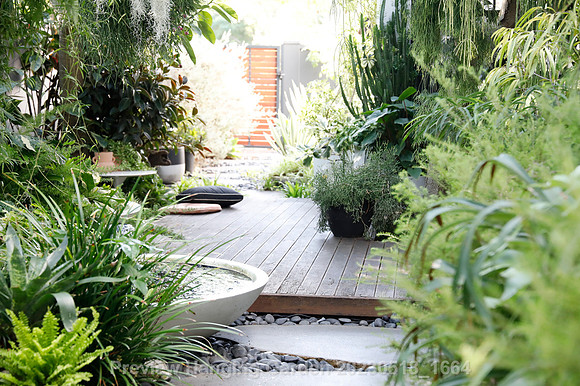 preview_Hanging Garden 20230518_1664