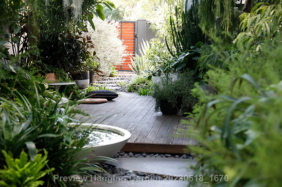 preview_Hanging Garden 20230518_1670