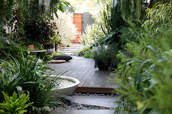 preview_Hanging Garden 20230518_1667