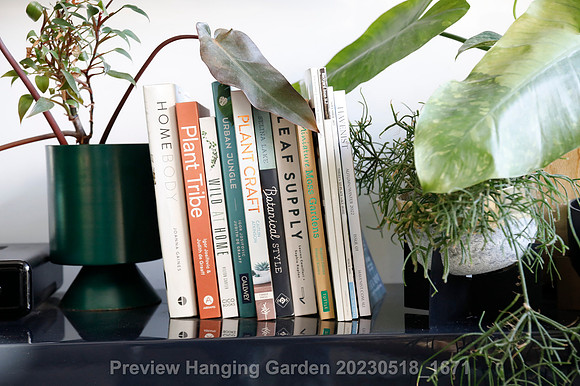 preview_Hanging Garden 20230518_1671