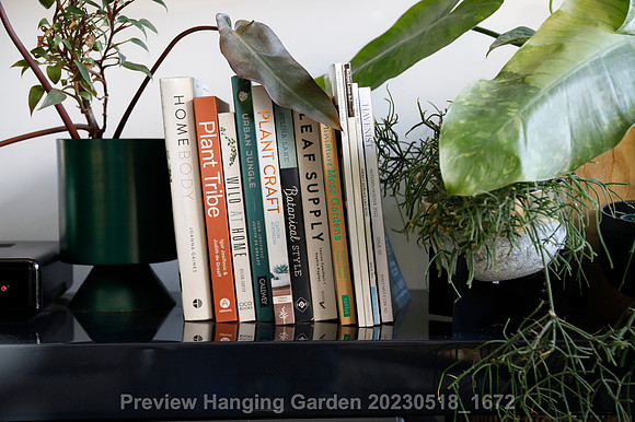 preview_Hanging Garden 20230518_1672