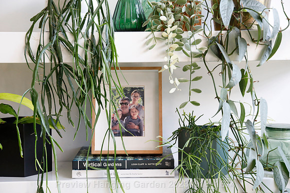 preview_Hanging Garden 20230518_1674