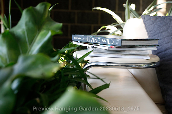 preview_Hanging Garden 20230518_1675