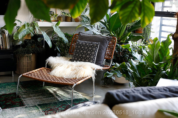 preview_Hanging Garden 20230518_1683