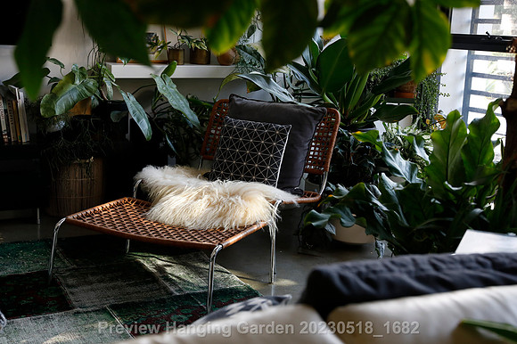 preview_Hanging Garden 20230518_1682