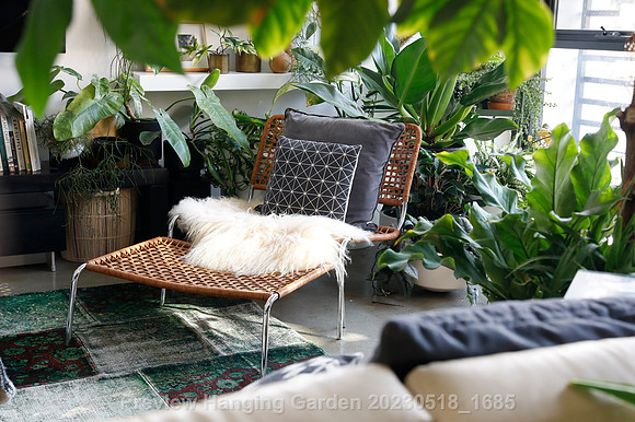 preview_Hanging Garden 20230518_1685