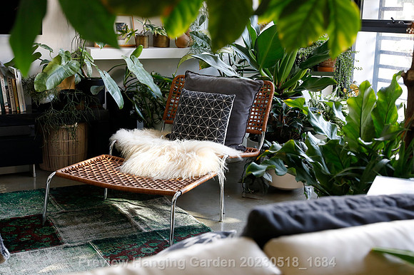 preview_Hanging Garden 20230518_1684