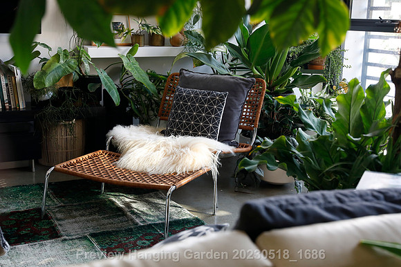 preview_Hanging Garden 20230518_1686