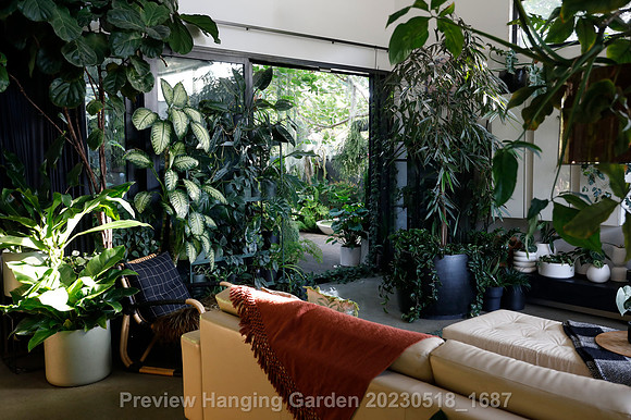 preview_Hanging Garden 20230518_1687