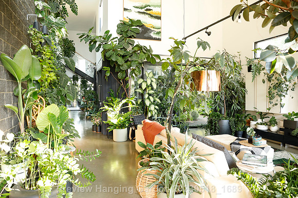 preview_Hanging Garden 20230518_1689