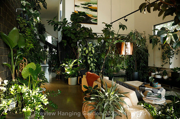 preview_Hanging Garden 20230518_1695