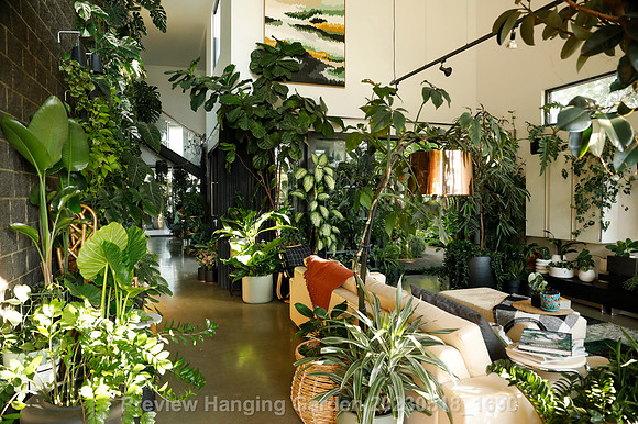 preview_Hanging Garden 20230518_1690