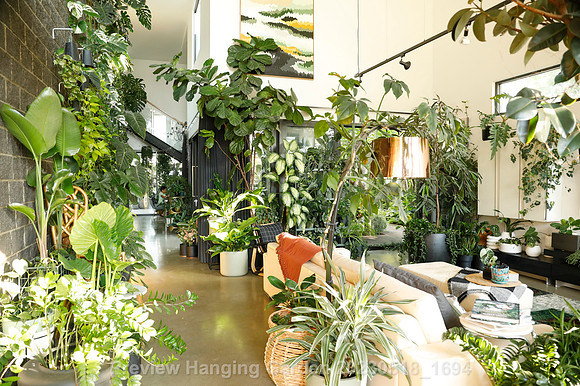preview_Hanging Garden 20230518_1694