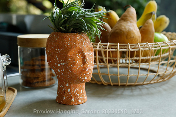 preview_Hanging Garden 20230518_1703