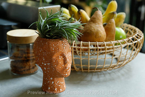 preview_Hanging Garden 20230518_1704