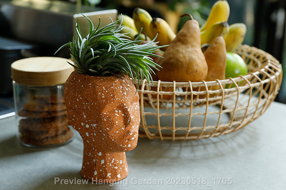 preview_Hanging Garden 20230518_1705