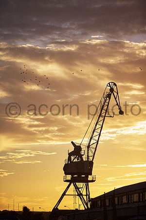 Fremantle060610_007705