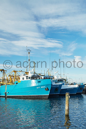 Fremantle20160214_3378