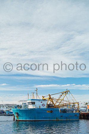Fremantle20160214_3376