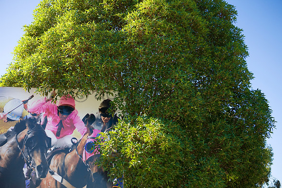 Belmont20100419_5793