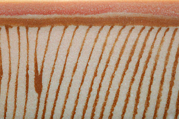 preview_Pip_20201111_9756