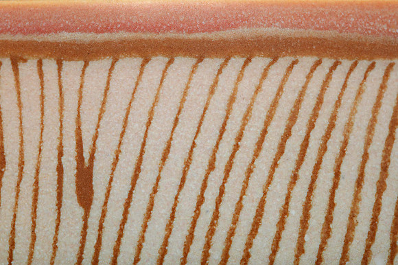 preview_Pip_20201111_9755