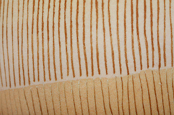 preview_Pip_20201111_9762