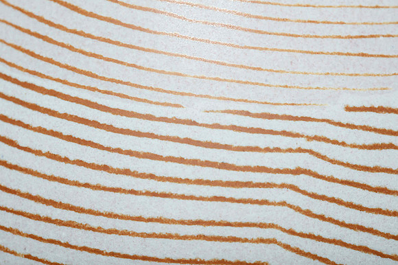 preview_Pip_20201111_9745