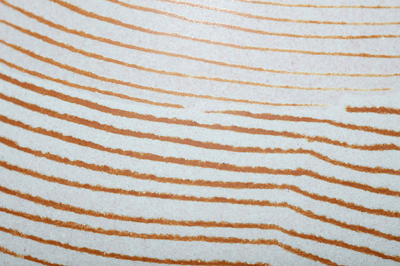 preview_Pip_20201111_9746