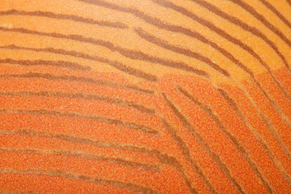 preview_Pip_20201111_9681