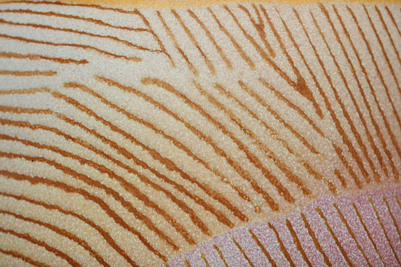preview_Pip_20201111_9807