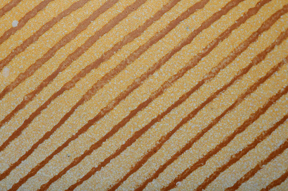 preview_Pip_20201111_9684